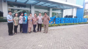 Bernofarm, a Prospective Partner of MJB
