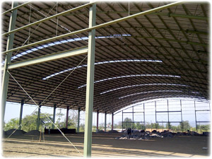 utomo deck terpasang 100%