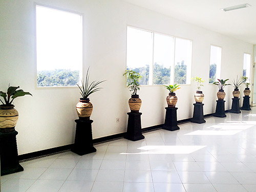 2nd Floor Hallway with 8 potted plants to represents the 8 shareholders
