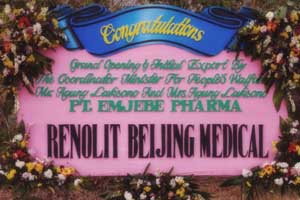 FLOWERS | BUNGA